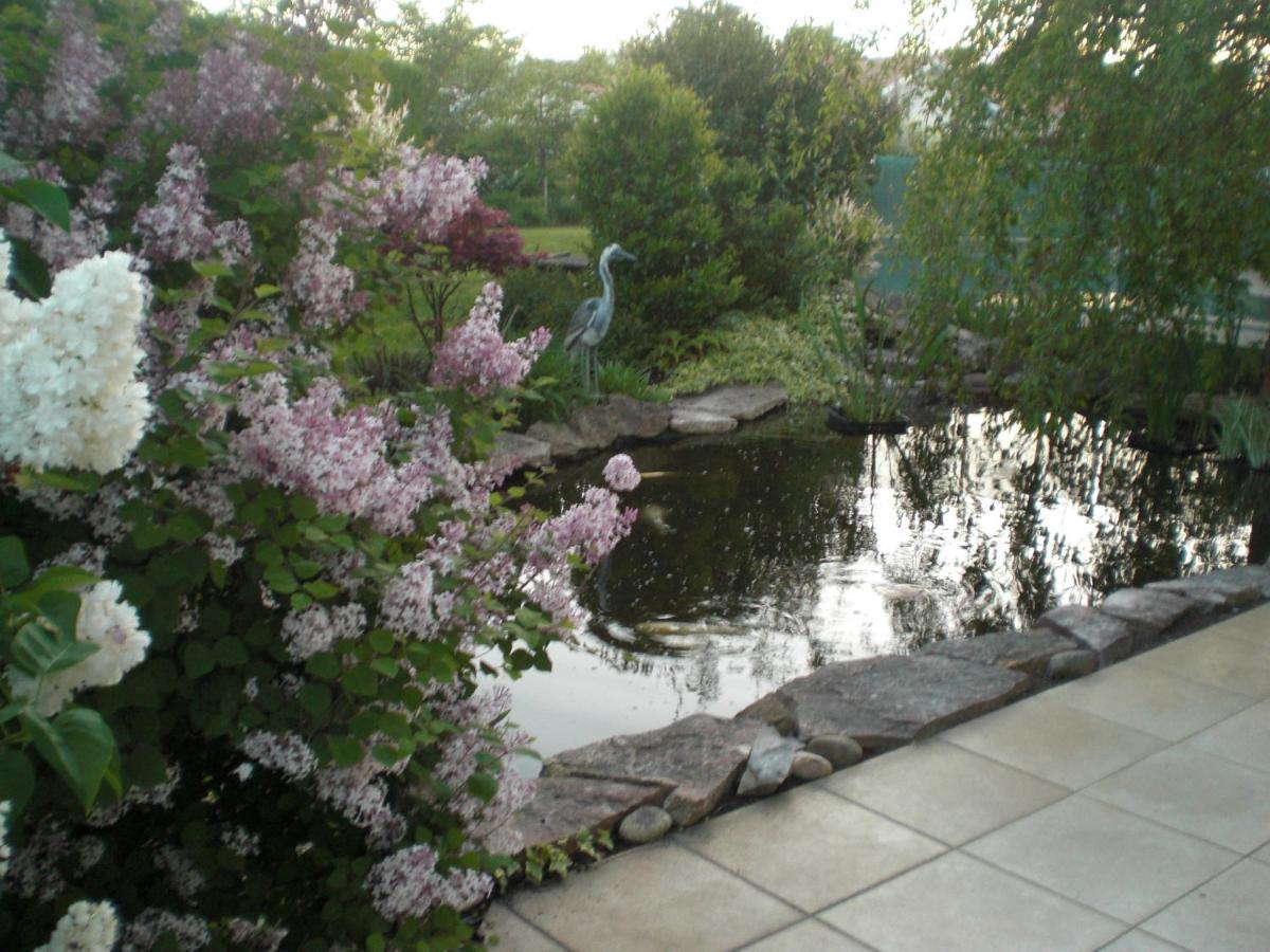 Le Jardin De Nemo Bed & Breakfast Biscarrosse Exterior photo